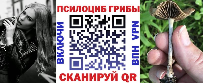 Галлюциногенные грибы GOLDEN TEACHER  ОМГ ОМГ онион  Томилино 
